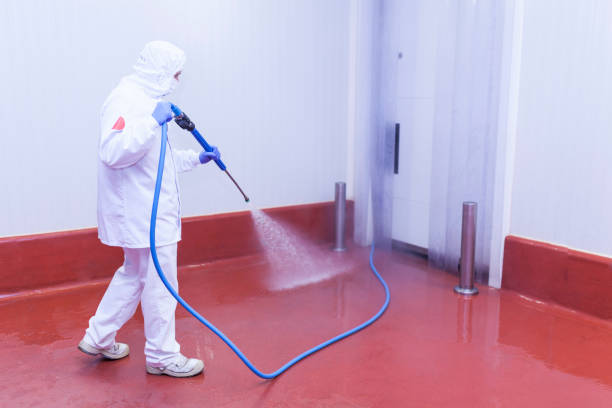 Best Sign and Awning Cleaning  in Ponchatou, LA