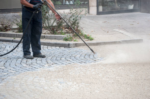 Animal Enclosure Cleaning in Ponchatoula, LA